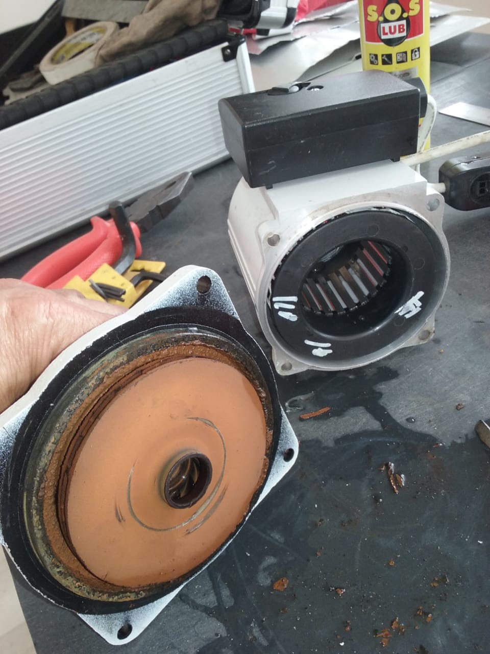 servico de limpeza 2.jpeg